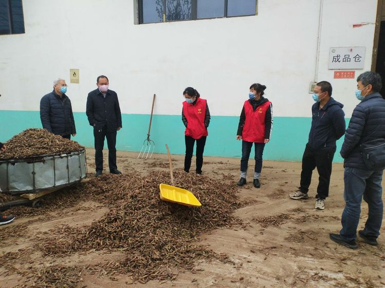 QQ图片20201104160620.png