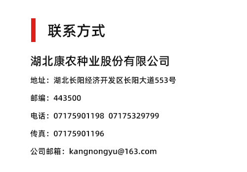 乐玩游戏大厅
