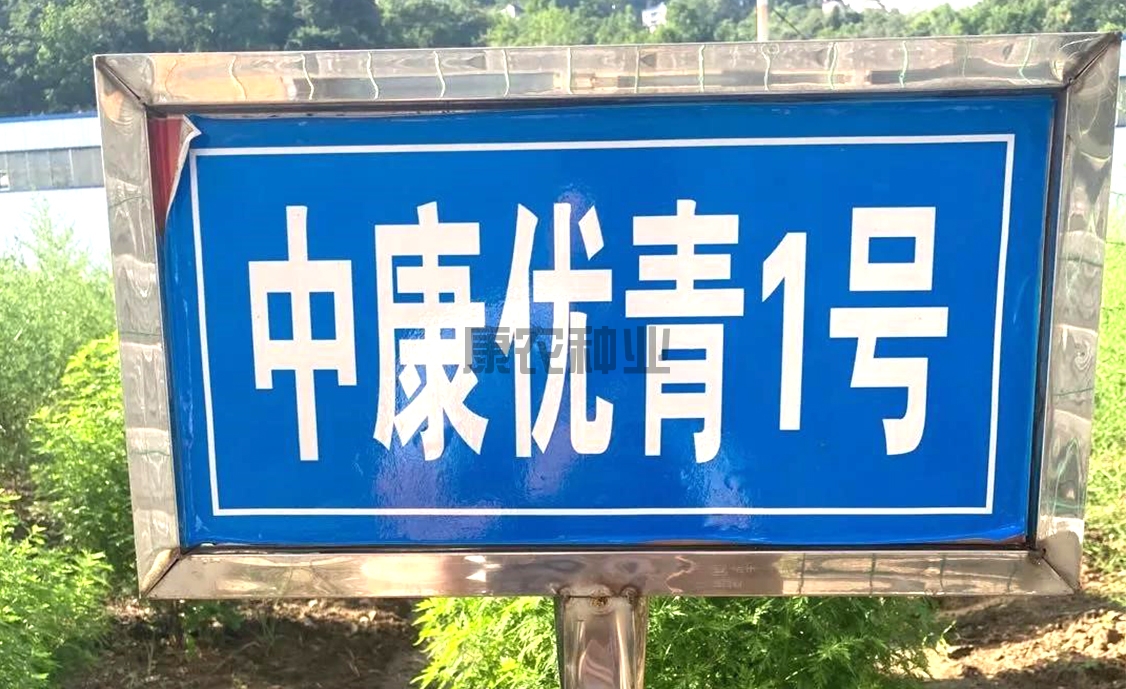 Zhongkang Youqing No. 1