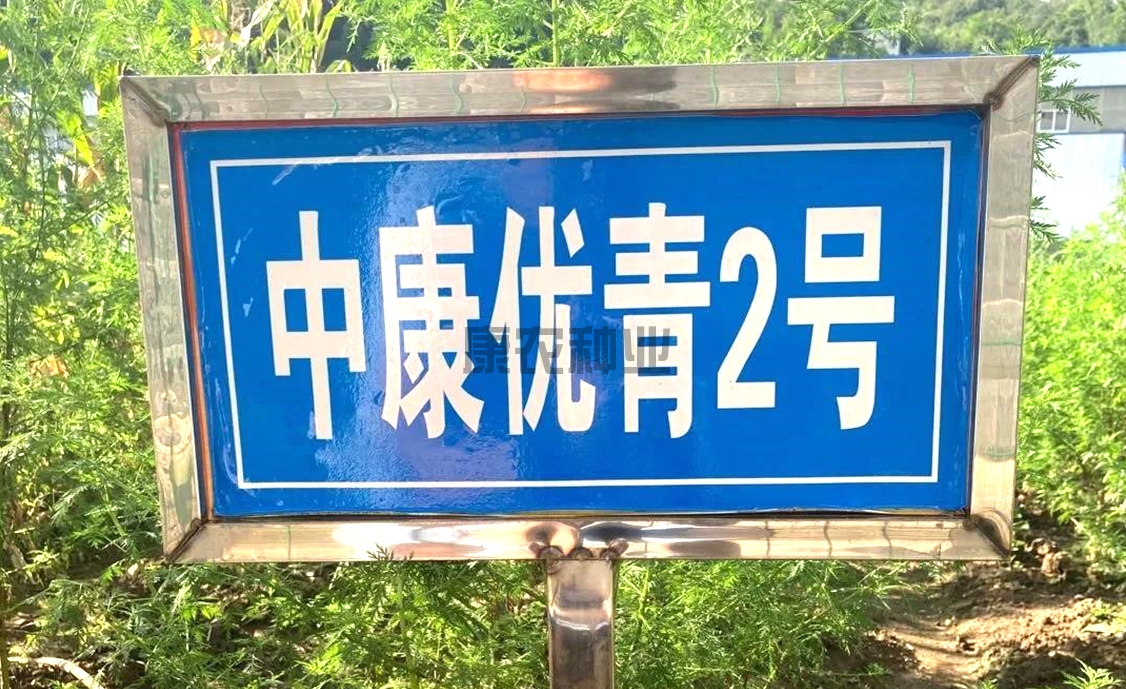 Zhongkang Youqing 2