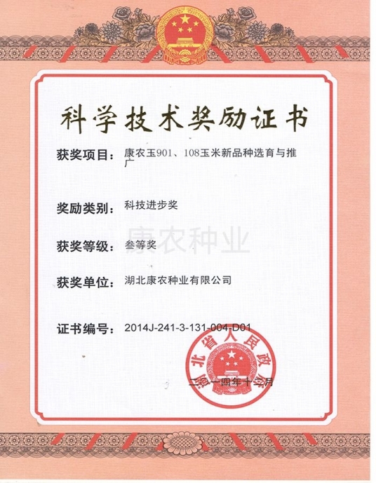 Science and Technology Award Certificate
